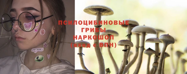 амф Аркадак