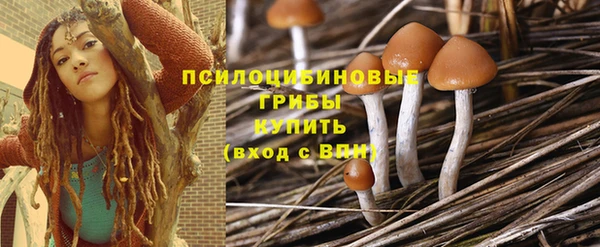 амф Аркадак
