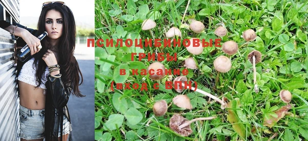 амф Аркадак