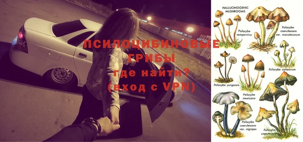 амф Аркадак