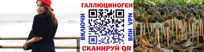 hydra ССЫЛКА Холмск Псилоцибиновые грибы MAGIC MUSHROOMS